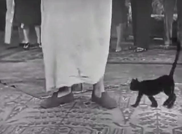 45 Minutes from Hollywood - cartoon black cat walking toward Oliver Hardy's legs