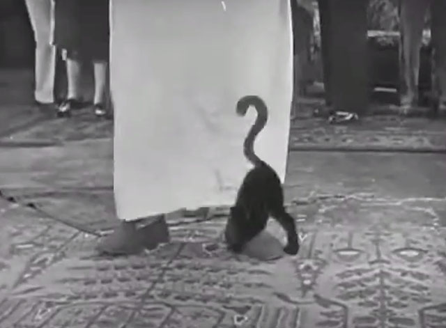 45 Minutes from Hollywood - cartoon black cat walking under towel around Oliver Hardy's legs