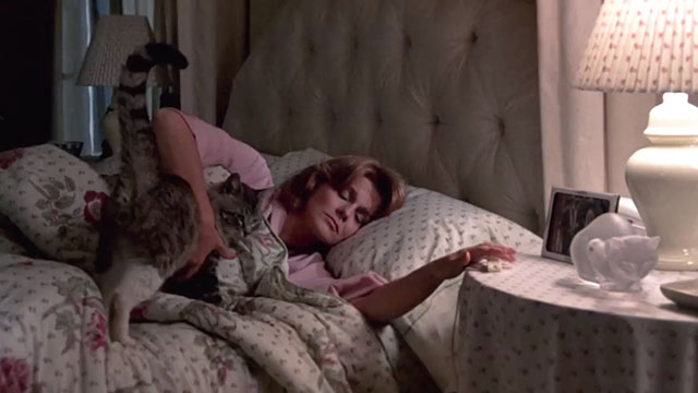 52 Pick-Up - Barbara Ann-Margret lying in bed with bicolor tabby cat