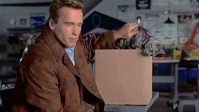 The 6th Day - Adam Arnold Schwarzenegger with English shorthair cat Sadie in box