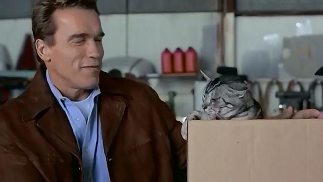 The 6th Day - Adam Arnold Schwarzenegger and English shorthair cat Sadie in box