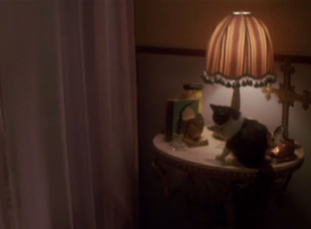 976-EVIL - cat sitting on bedside stand