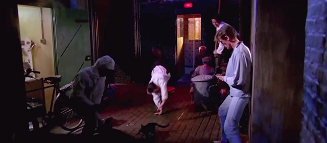 Absolute Beginners - black cat turning to run away in front of Colin Eddie O'Connell and dancers