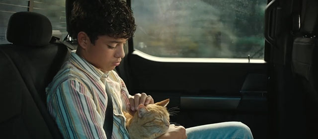 The Accountant 2 - Alberto Yael Ocasio holding ginger tabby cat on lap in back seat