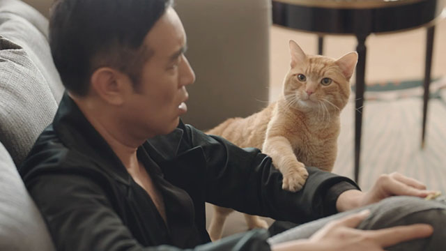 Adoring - Chong ai - ginger tabby cat Hulu Angela Rizzo Gonzo on couch with Gao Ming Hewei Yu