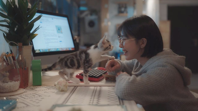 Adoring - Chong ai - An Ying Qingzi Kan with grey and white tabby kitten 726 Leon Belle Snow on desk