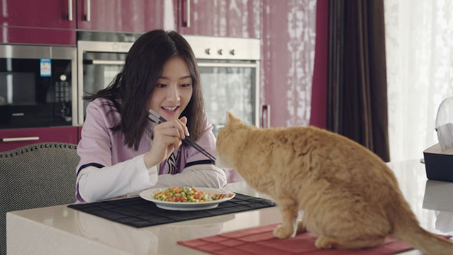 Adoring - Chong ai - Mengmeng Landi Li feeding ginger tabby cat Hulu Angela Rizzo Gonzo with chopsticks