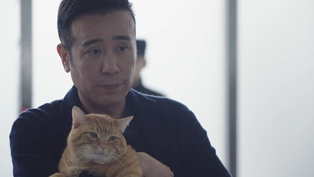 Adoring - Chong ai - Gao Ming Hewei Yu holding ginger tabby cat Hulu Angela Rizzo Gonzo