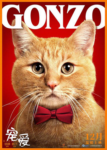 Adoring - Chong ai - movie poster featuring ginger tabby cat Hulu Angela Gonzo