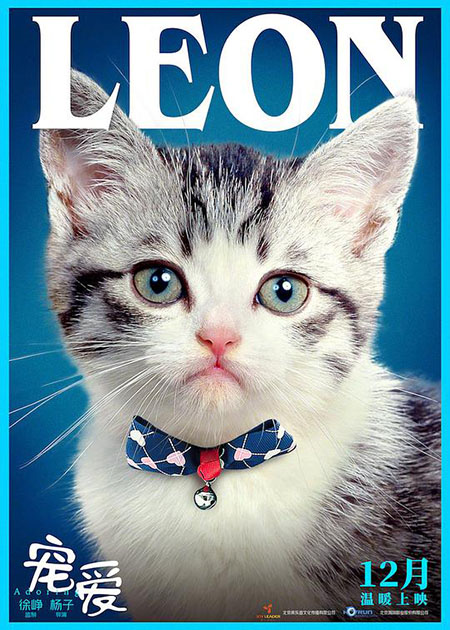 Adoring - Chong ai - movie poster featuring grey and white tabby kitten 726 Leon
