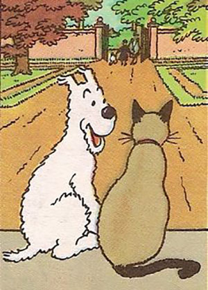 The Adventures of Tintin - comic strip panel with Snowy and Marlinspike Hall Siamese cat