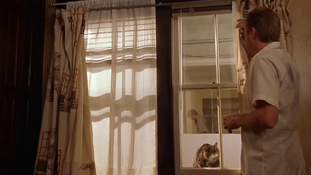 After Alice - Hayden Keifer Sutherland closing curtain on longhair tabby and white cat