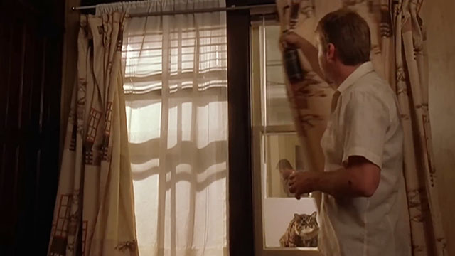 After Alice - Hayden Keifer Sutherland closing curtain on longhair tabby and white cat