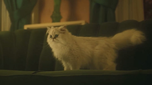 Agatha Christie's The Witness for the Prosecution - white Persian cat Mimi on couch