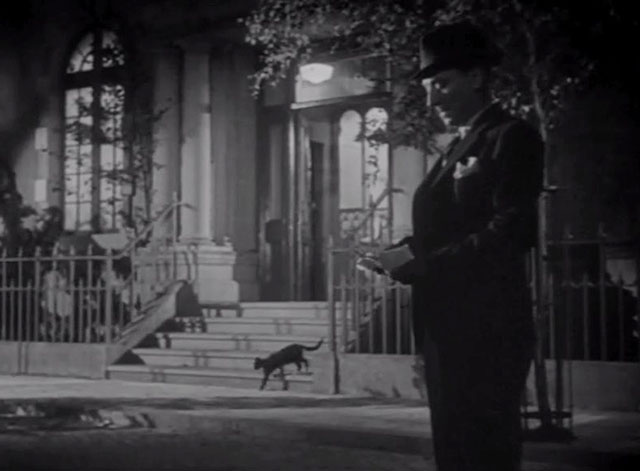 The Agitator - Pettinger outside building with tuxedo cat on steps behind