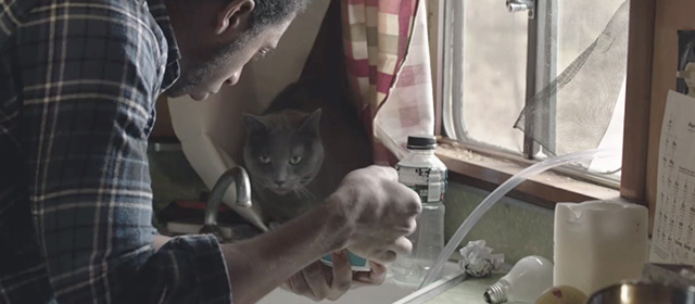 The Alchemist Cookbook - Sean Ty Hickson at sink with gray cat Kaspar
