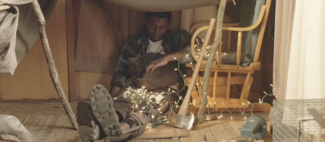 The Alchemist Cookbook - Sean Ty Hickson sitting on floor covered with Christmas lights and holding gray cat Kaspar