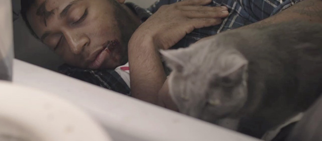 The Alchemist Cookbook - Sean Ty Hickson in bathtub with gray cat Kaspar