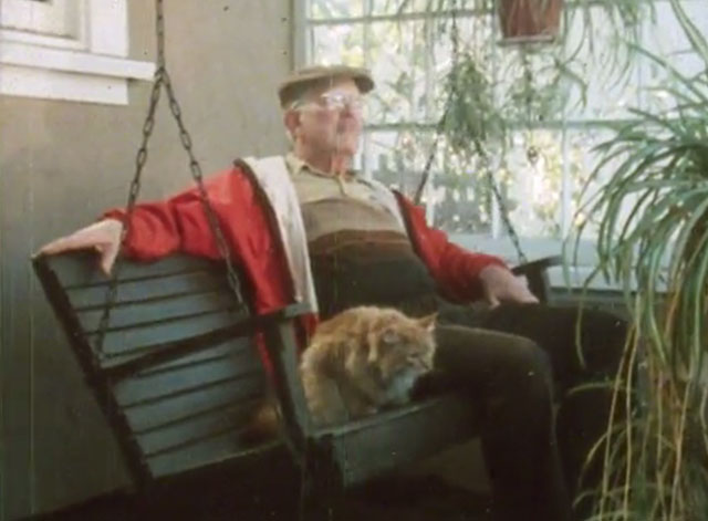 Alexander Baxter - longhair ginger tabby cat on porch with Mr. Baxter Edwyn Phelps