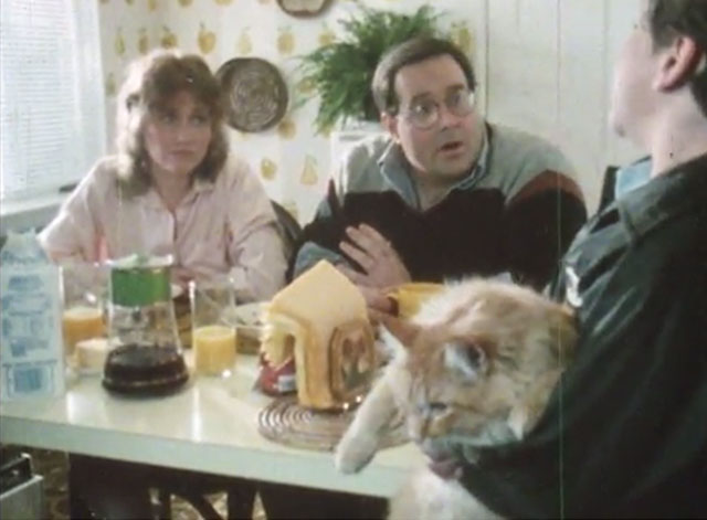 Alexander Baxter - longhair ginger tabby cat with paperboy and his parents David Holmes Mary Duprey