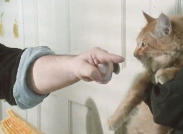 Alexander Baxter - longhair ginger tabby cat with dad pointing finger to go