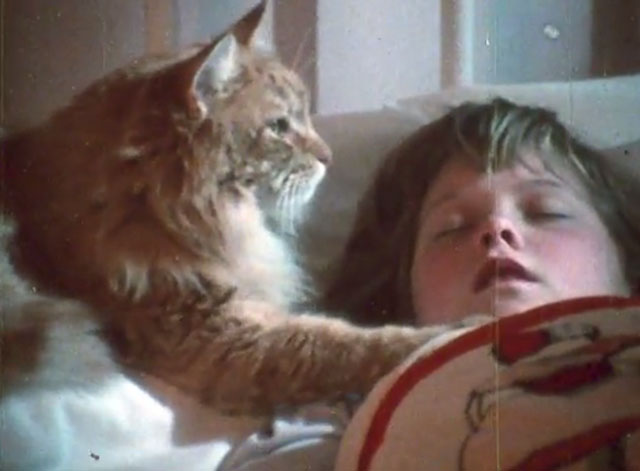 Alexander Baxter - longhair ginger tabby cat with little girl Debbie Nicole Marie Torrence in bed