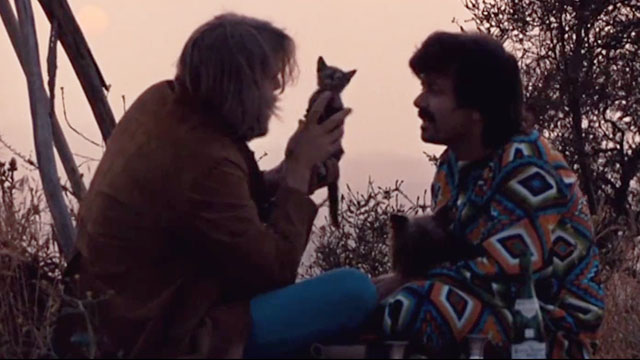 Alex in Wonderland - Alex Donald Sutherland and Andre Philippe on hillside with tortoiseshell kitten Vicky