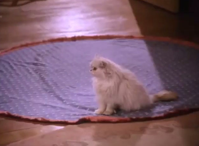 Alice in Wonderland - Persian white cat Dinah sitting on rug