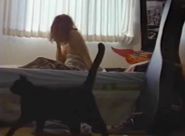 Alien Beach Party Massacre - black cat approaching bed of Glue Eric Zumbunnen