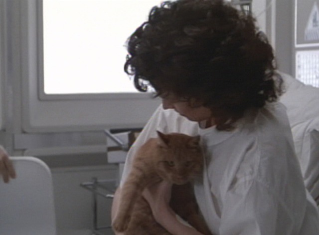 Aliens - orange tabby cat Jones being held by Ripley Sigourney Weaver