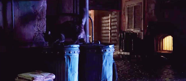 Alita: Battle Angel - longhaired tabby cat on garbage cans