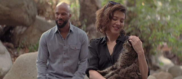 All About Nina - Nina Mary Elizabeth Winstead holding brown tabby cat
