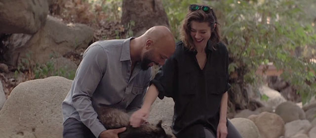 All About Nina - Nina Mary Elizabeth Winstead and Rafe Common petting brown tabby cat
