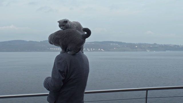 All Cats Are Grey in the Dark - Christian Amann on ferry with grey Scottish Fold cats Marmelade and Katyusha on his shoulders