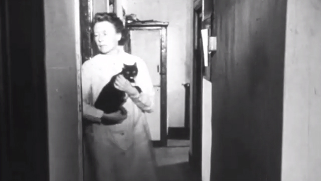 All Living Things - woman in lab coat carrying tuxedo cat in hallway