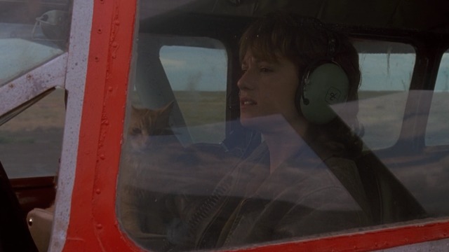 Always - Dorinda Holly Hunter landing plane with orange Maine Coon cat Linda Blair beside her