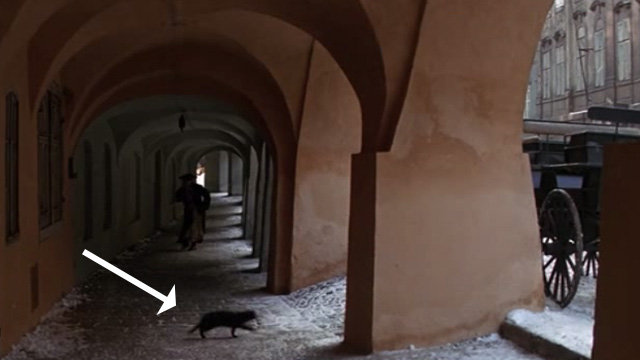 Amadeus - black cat running across Mozart's path