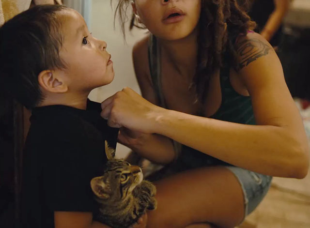 American Honey - little boy holding tabby kitten with Star Sasha Lane