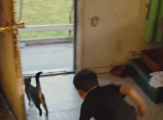 American Honey - little boy chasing tabby kitten through open door