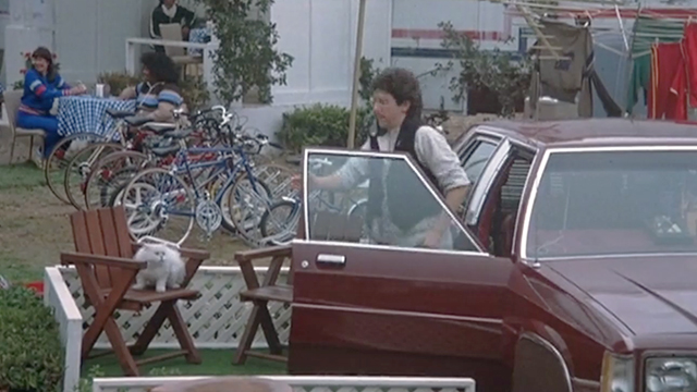 Americathon - Eric McMerkin Peter Riegert leaving car with white Persian cat on chair nearby