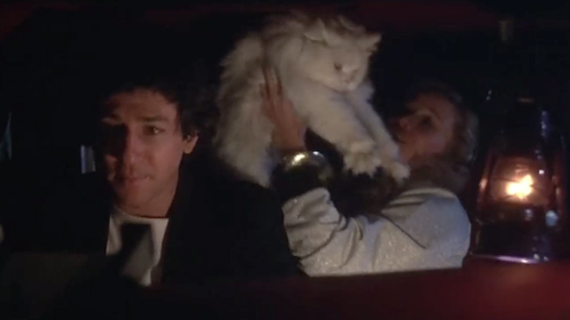 Americathon - Eric McMerkin Peter Riegert and Lucy Beth Nancy Morgan in car with white Persian cat