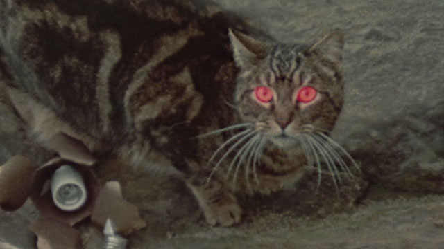Amityville Horror The Evil Escapes - tabby cat Pepper with glowing red eyes on beach next to broken lamp