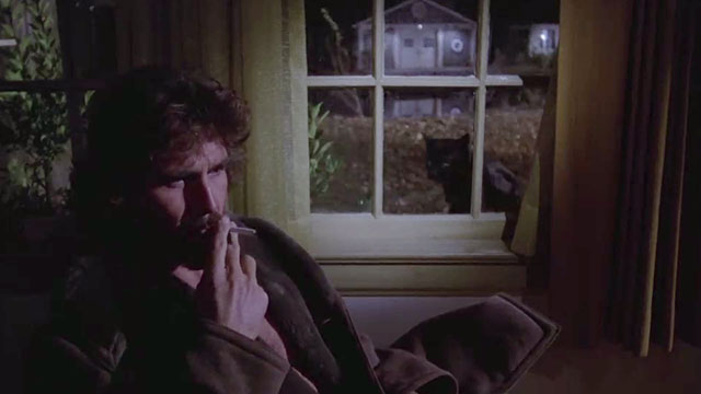 The Amityville Horror - George James Brolin sitting by window with black cat outside glass
