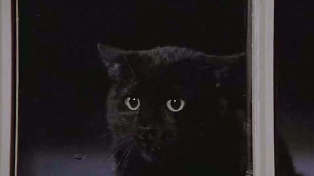 The Amityville Horror - angry black cat outside window