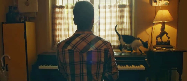 AndhaDhun - tuxedo cat Rani walking on piano as Akash Ayushmann Khurrana plays
