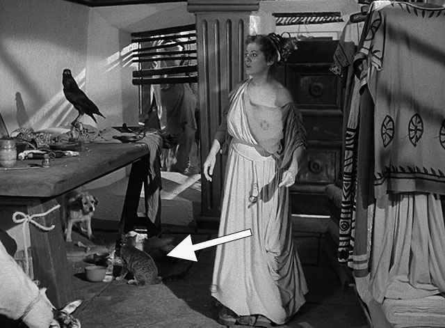 Androcles and the Lion - Megaera Elsa Lanchester standing with various animals including tabby cat wearing eye patch