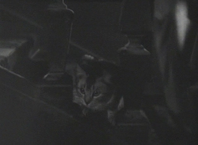 And Then There Were None - tabby cat sitting on stairs
