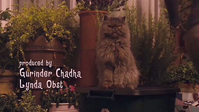 Angus, Thongs and Perfect Snogging - Smokey Persian Angus sitting on garbage can during opening credits