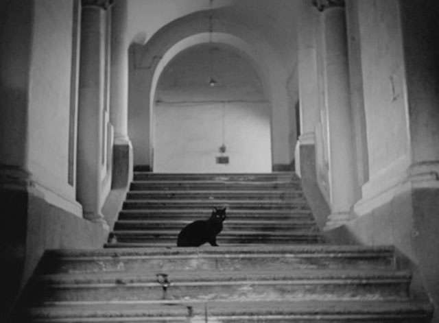 Anni Difficili - black cat on stairs