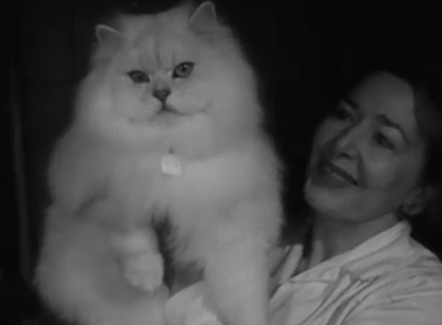 Annual Cat Show in Amsterdam 1965 - winning white Persian Chinchilla cat held by woman
